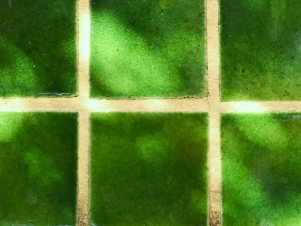 Carreaux de zellige vert émaillé et joints clairs, avec un jeu d’ombre de feuillage